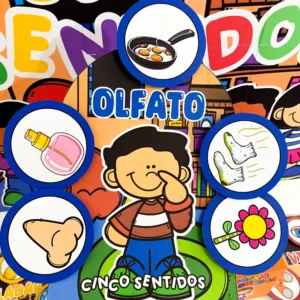 Os 5 Sentidos.